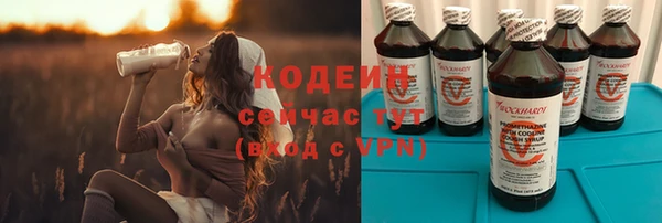 гидра Арсеньев