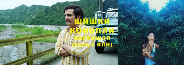 прущие крисы Армянск